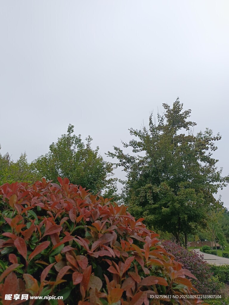 秋日多彩植物景观