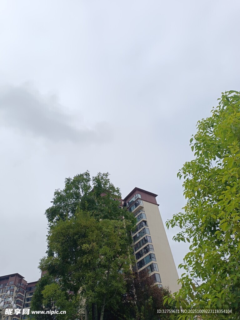 绿树环绕的高层住宅楼