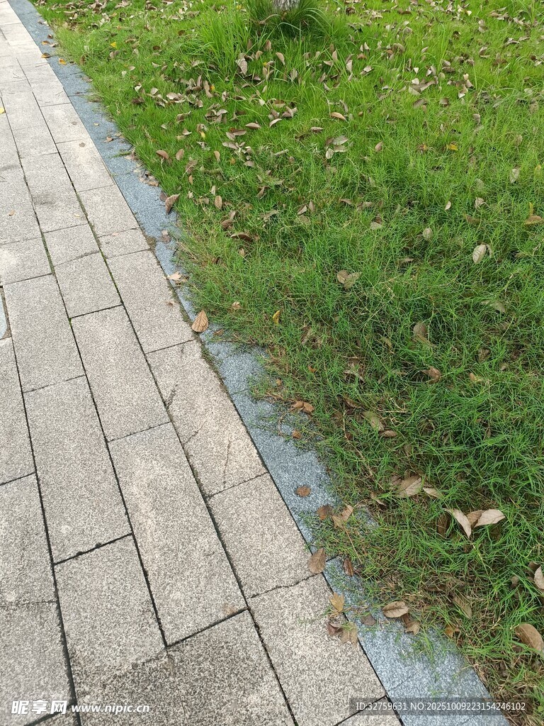 路边砖石与翠绿草地