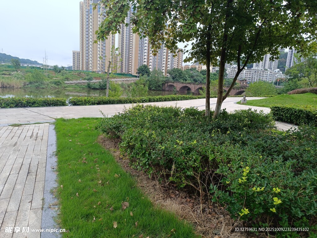 城市公园中的绿植景观