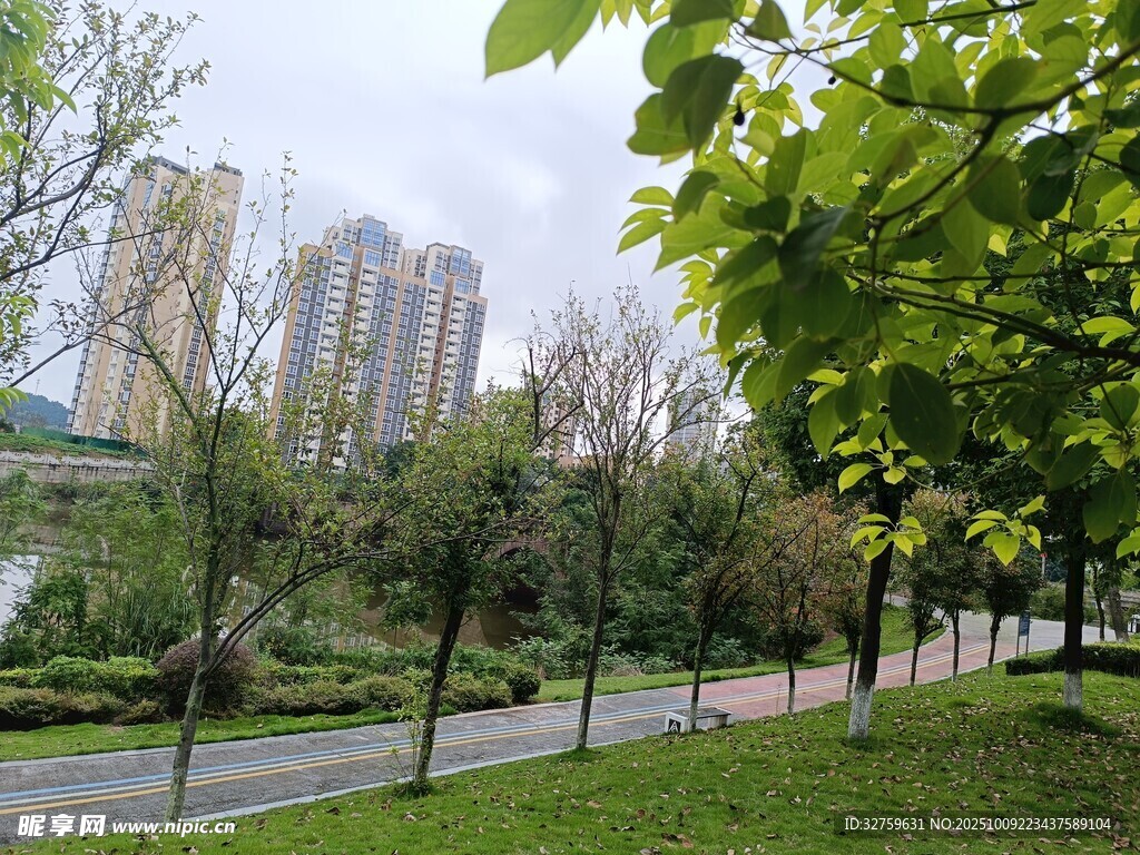 城市中的绿意公园景观