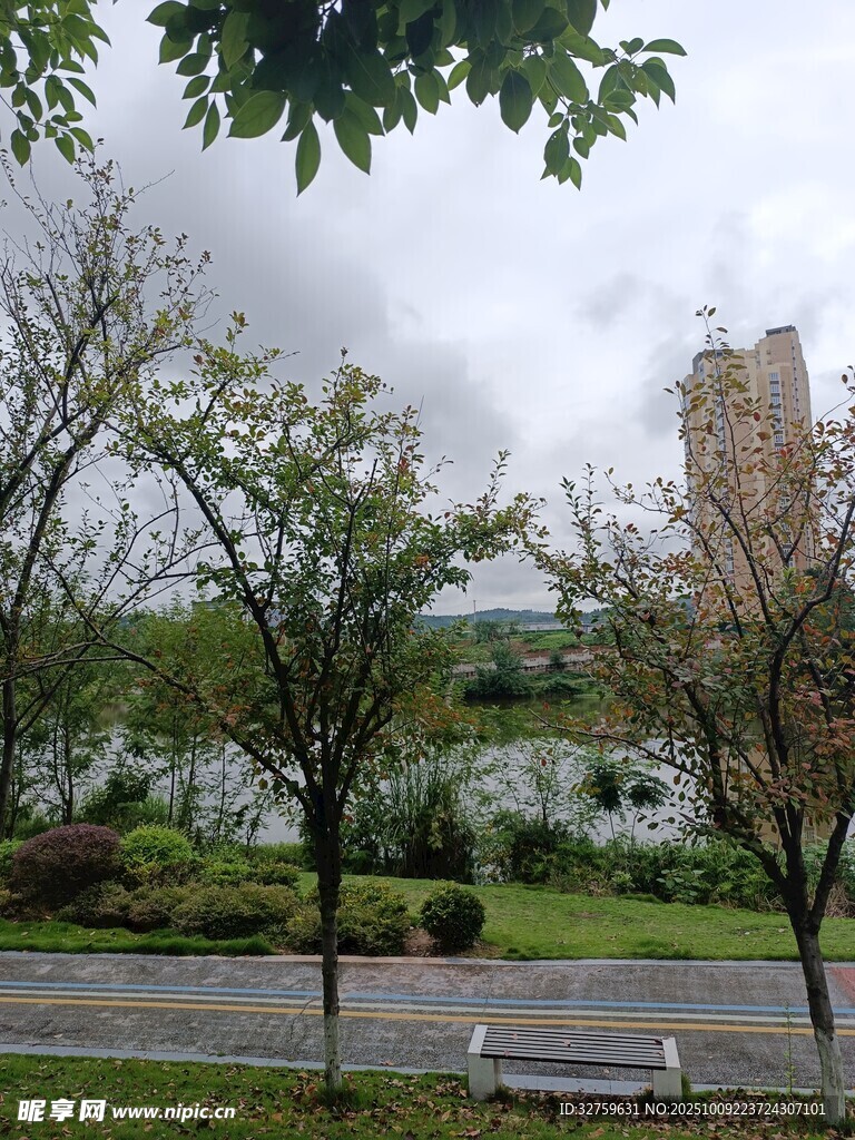 湖畔绿树环绕的城市景致