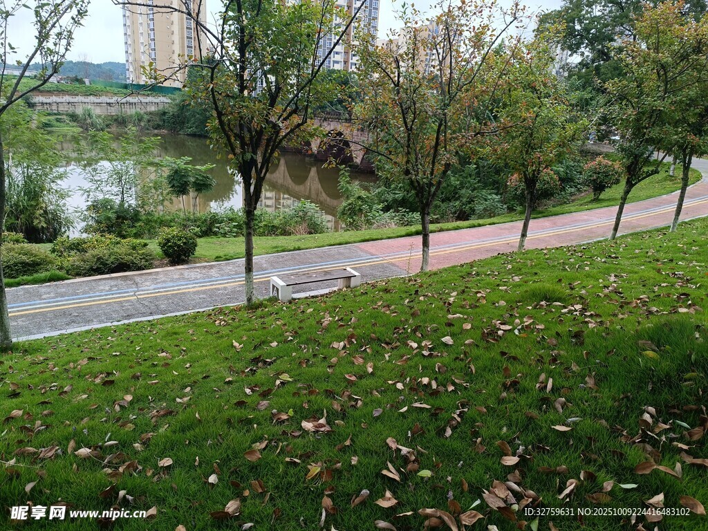 秋日公园小径的静谧景致