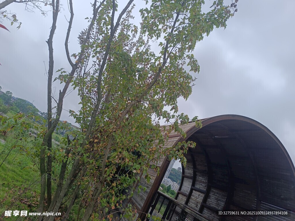 野外拱形建筑旁的绿植景观