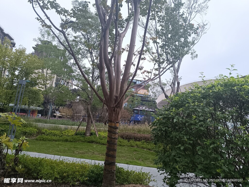 户外绿树环绕的宁静景致