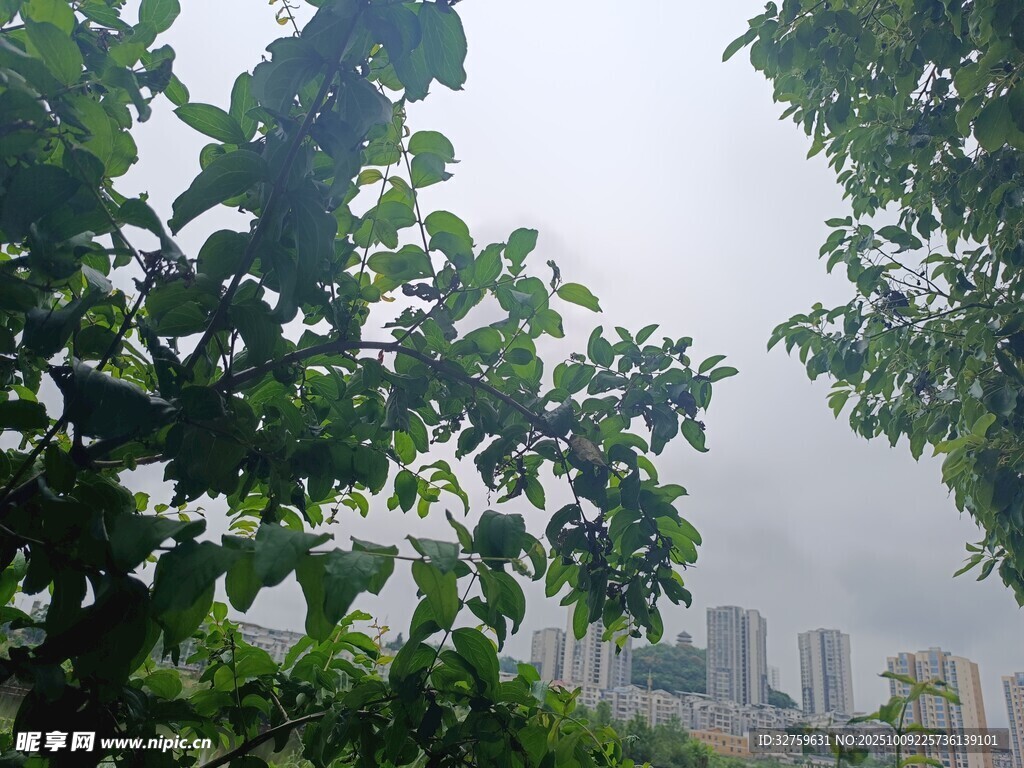 绿树掩映下的城市远景
