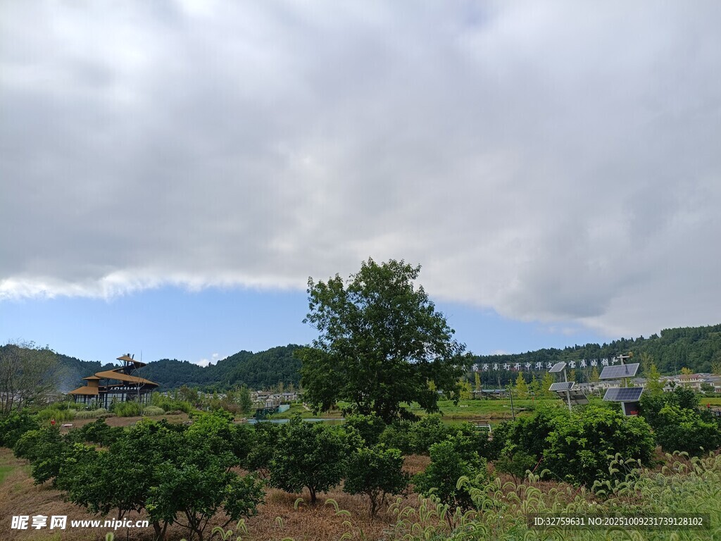 田园风光中的绿植与远山