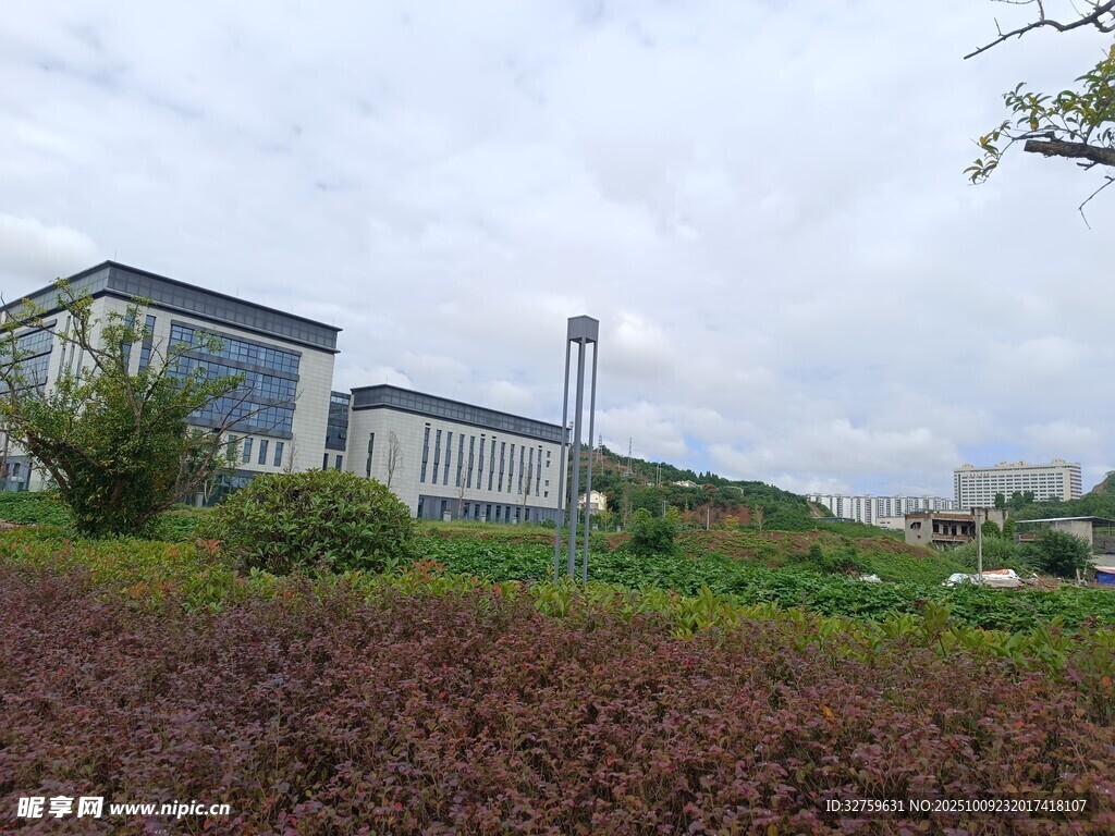 现代建筑旁的绿植景观