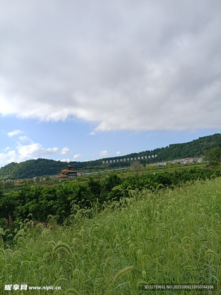 绿野山丘间的开阔景致