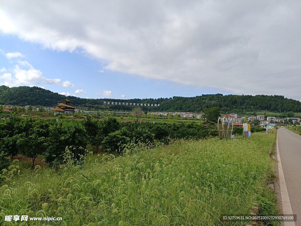 乡村田野间的宁静小路
