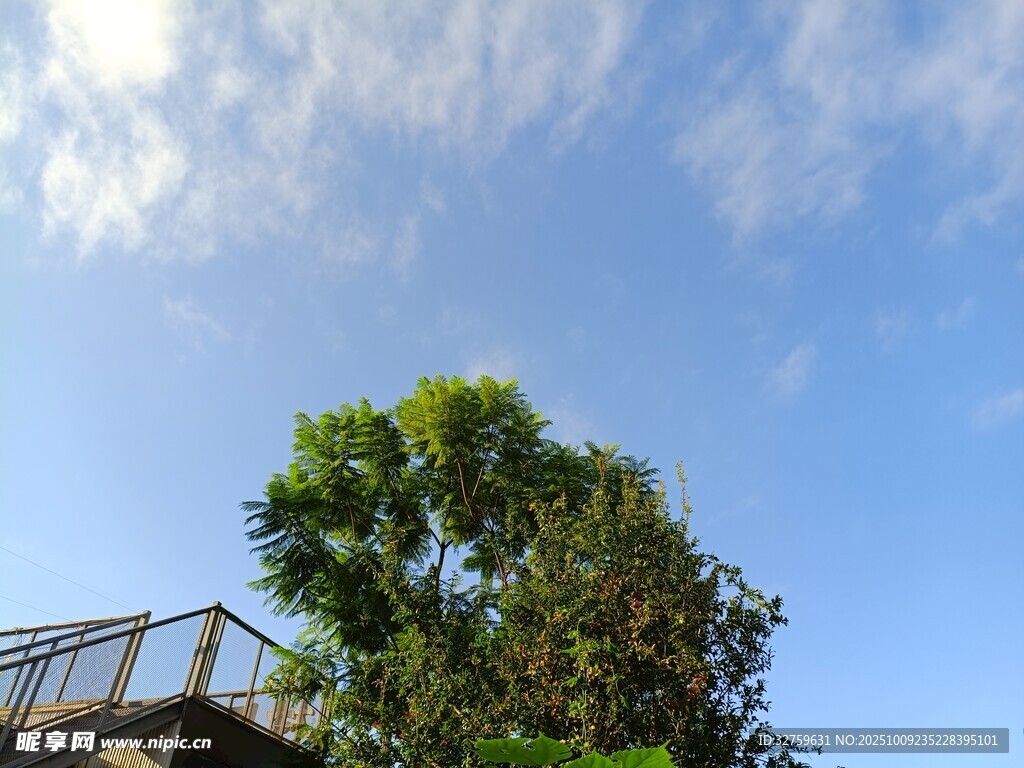蓝天绿树旁的观景平台