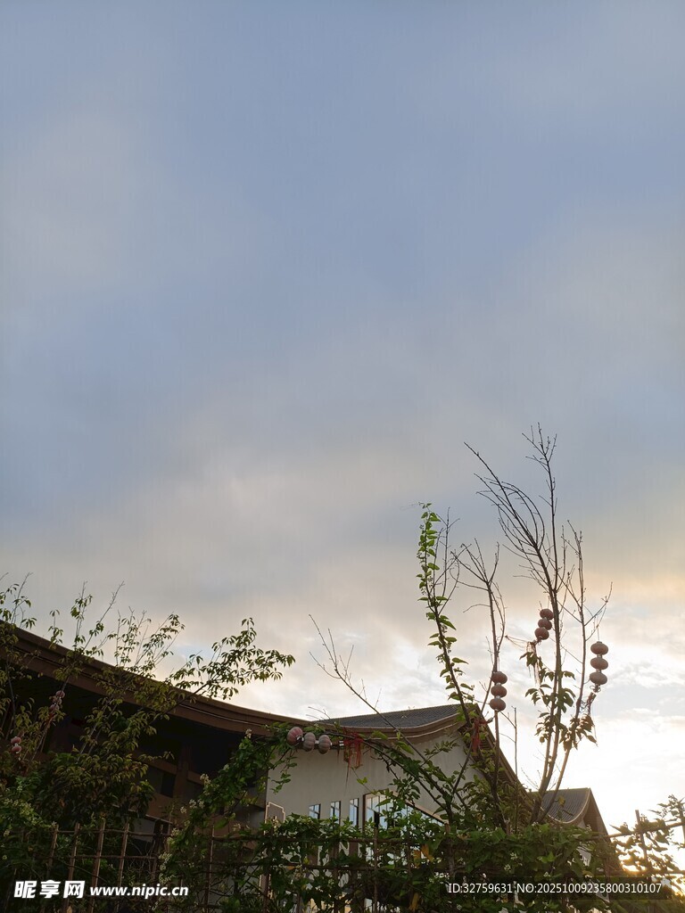 屋顶上的绿植与天空