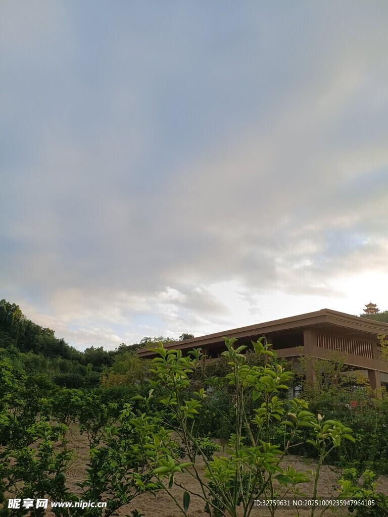 乡村房屋旁的绿植与天空