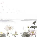 荷花