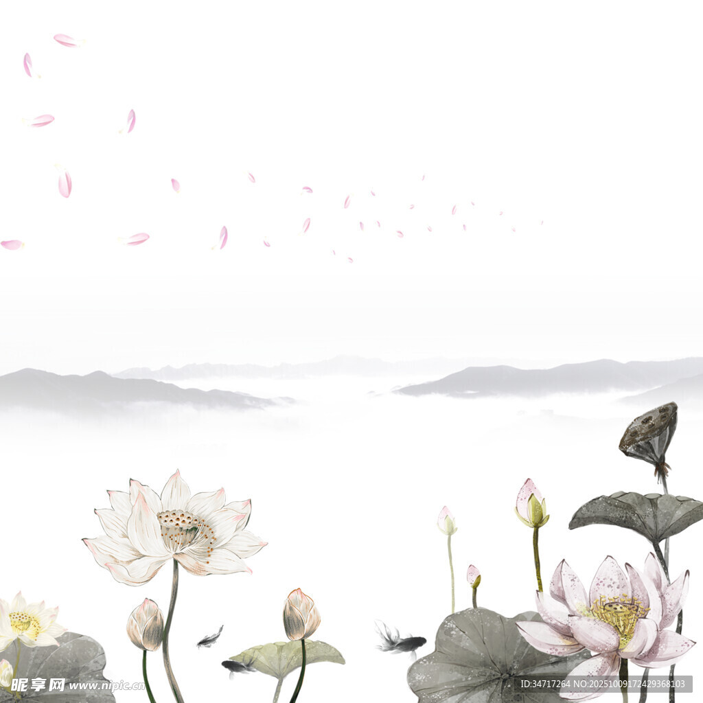荷花