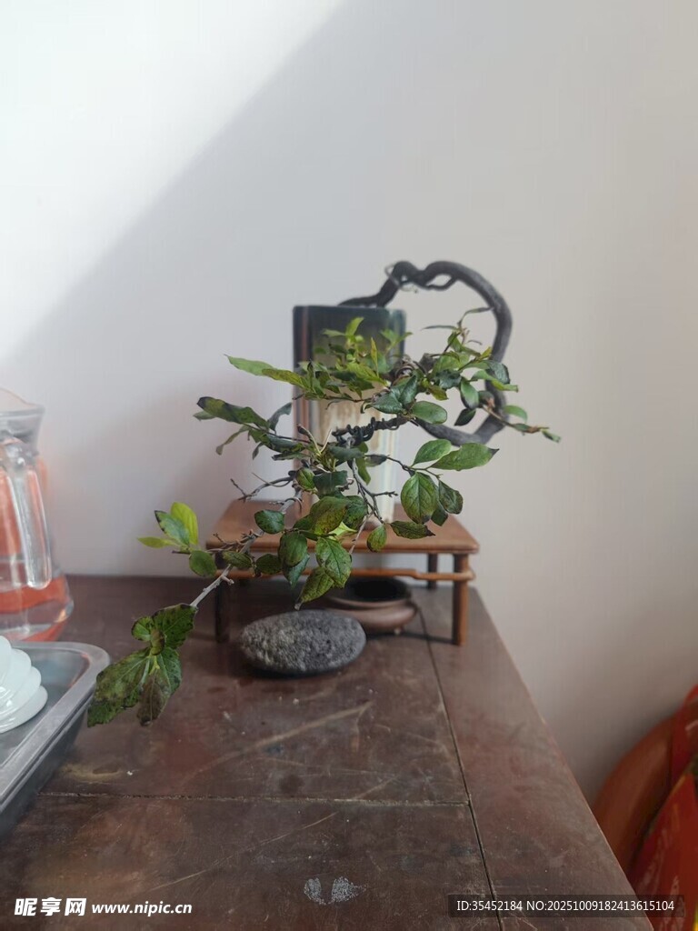 盆景