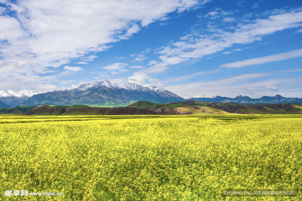 广袤绿野与远处雪山美景