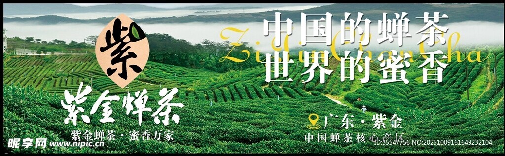 黄山茶叶