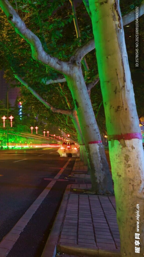 夜晚河畔的多彩树木景观