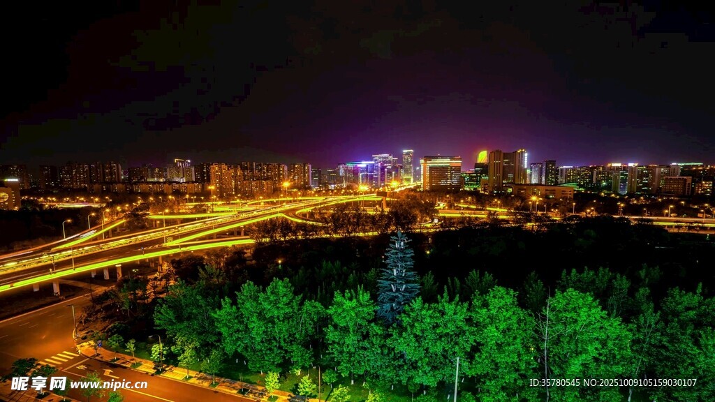 城市夜景与繁茂绿植