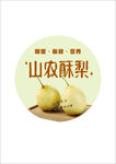 山农酥梨水果宣传图