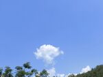 蓝天绿树间的洁白云朵