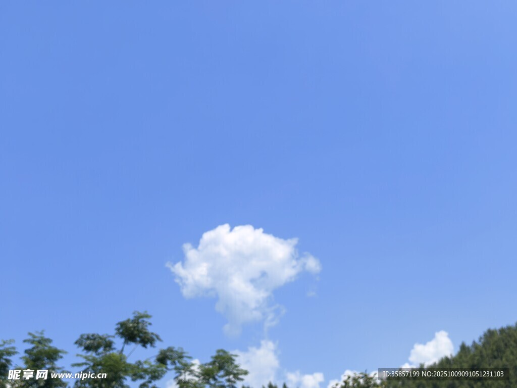 蓝天绿树间的洁白云朵