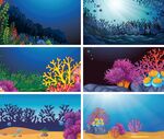 梦幻海底珊瑚美景
