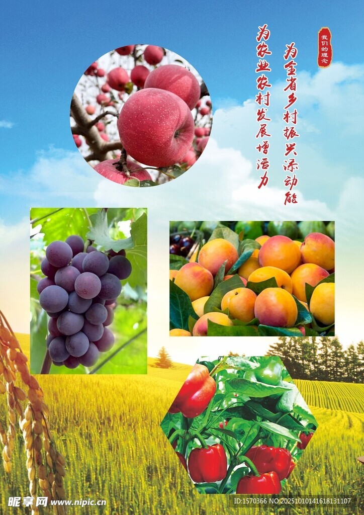 多彩新鲜水果田园展示