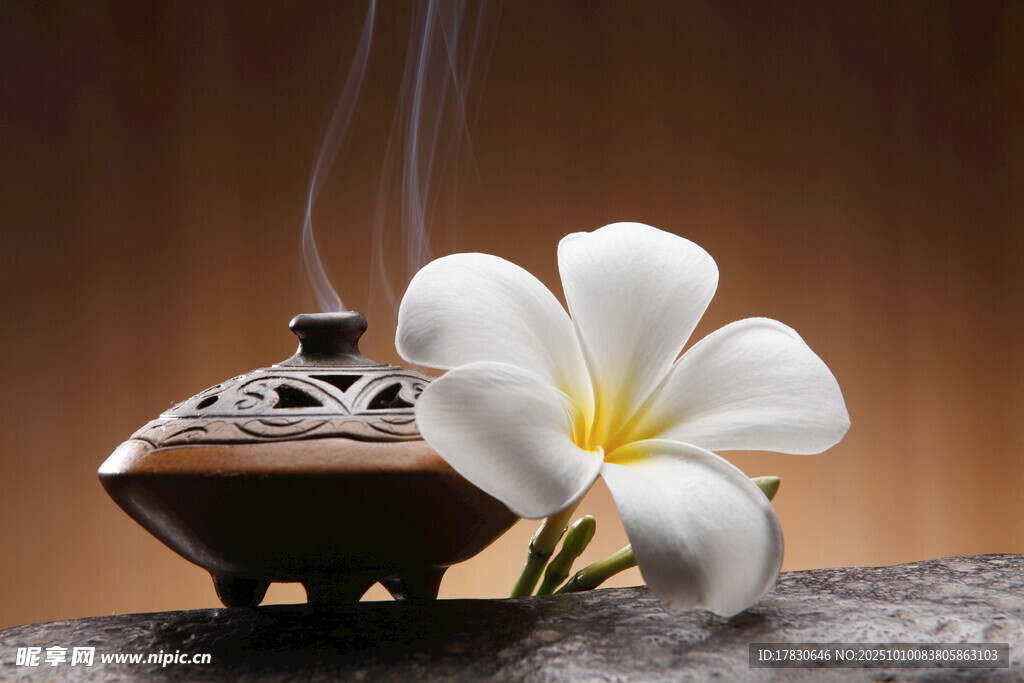 香薰炉旁绽放的素雅白花