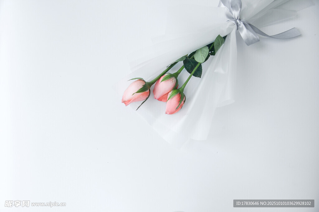 玫瑰花