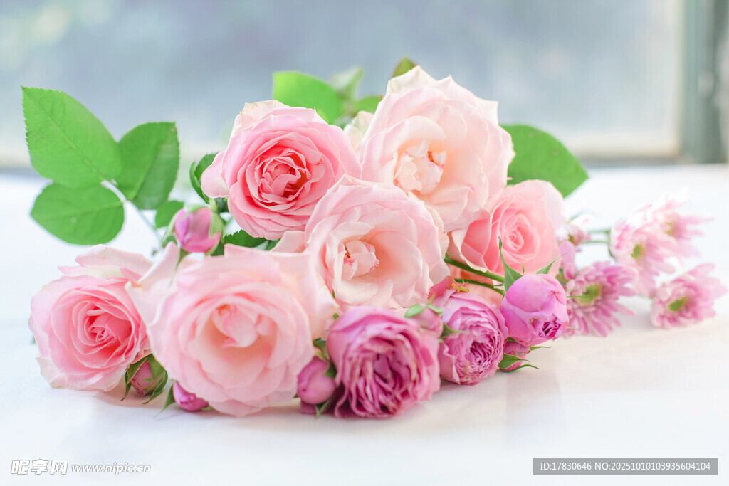 玫瑰花