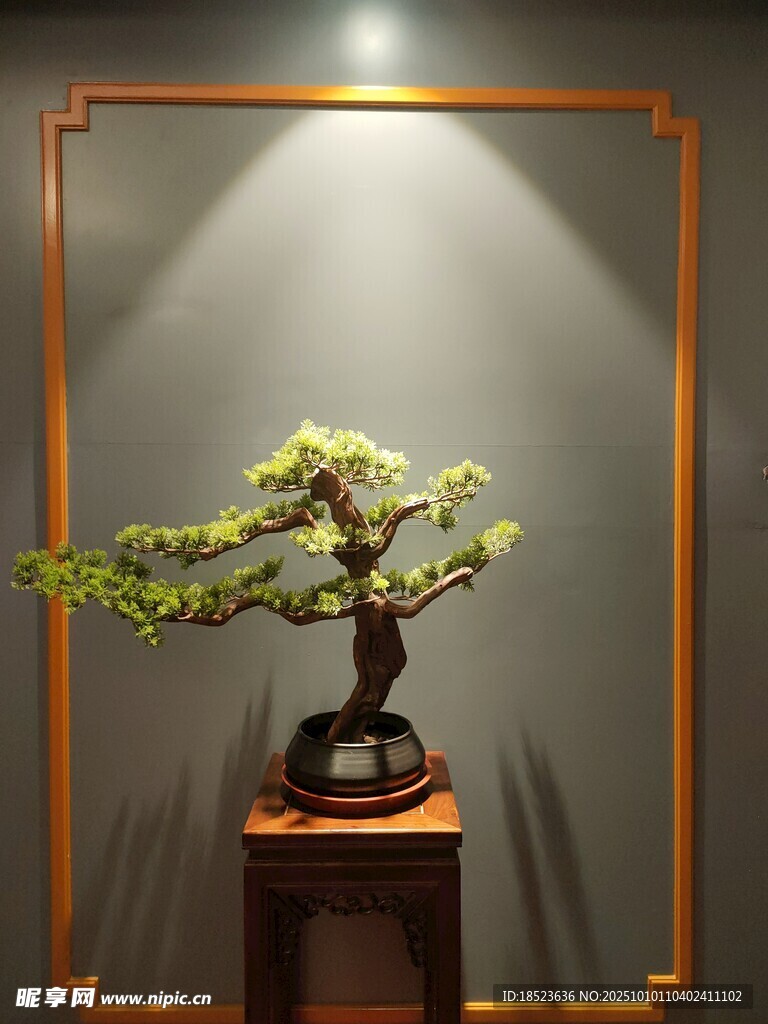 中式雅致盆景尽显古朴韵味