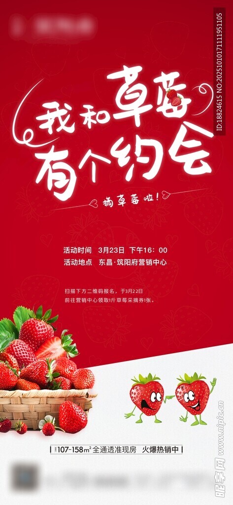 草莓采摘