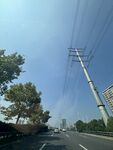 公路旁的电线杆与绿树