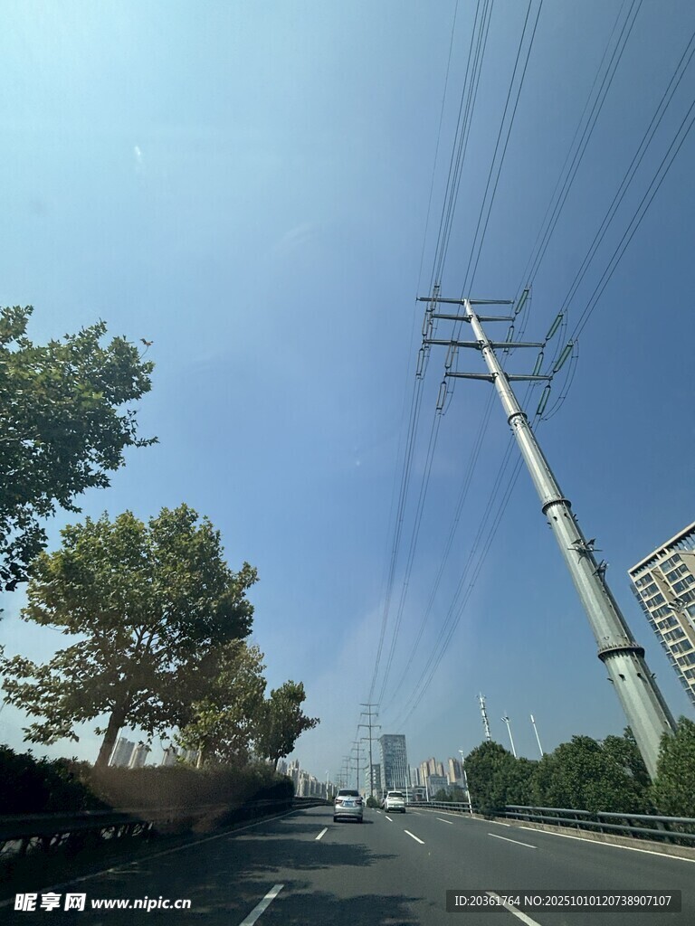 公路旁的电线杆与绿树