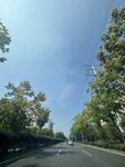 宽阔公路旁绿树成荫