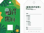 植物领养期待卡