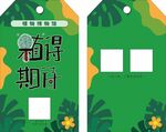 绿植养护标签