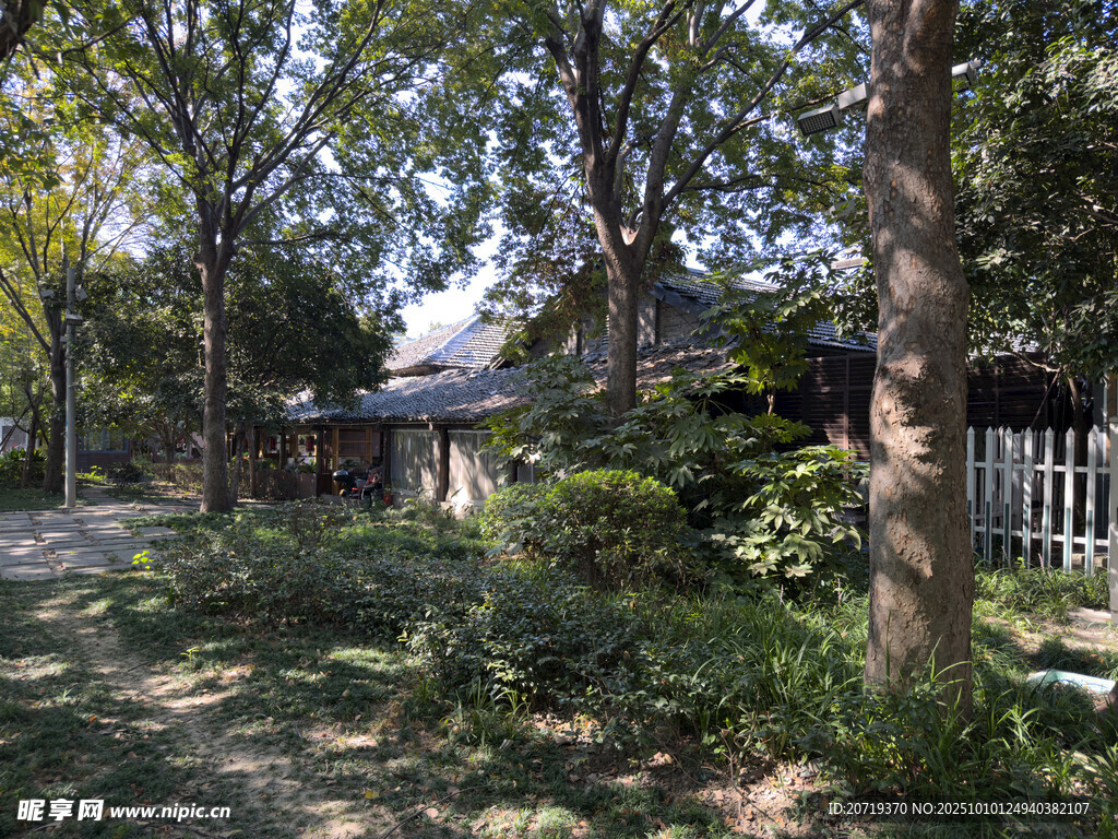 林间小屋的静谧自然景致