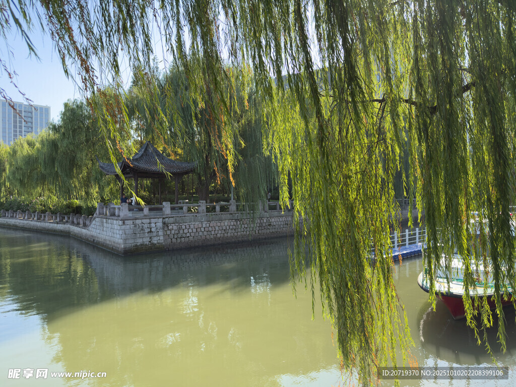 河畔垂柳伴古亭美景