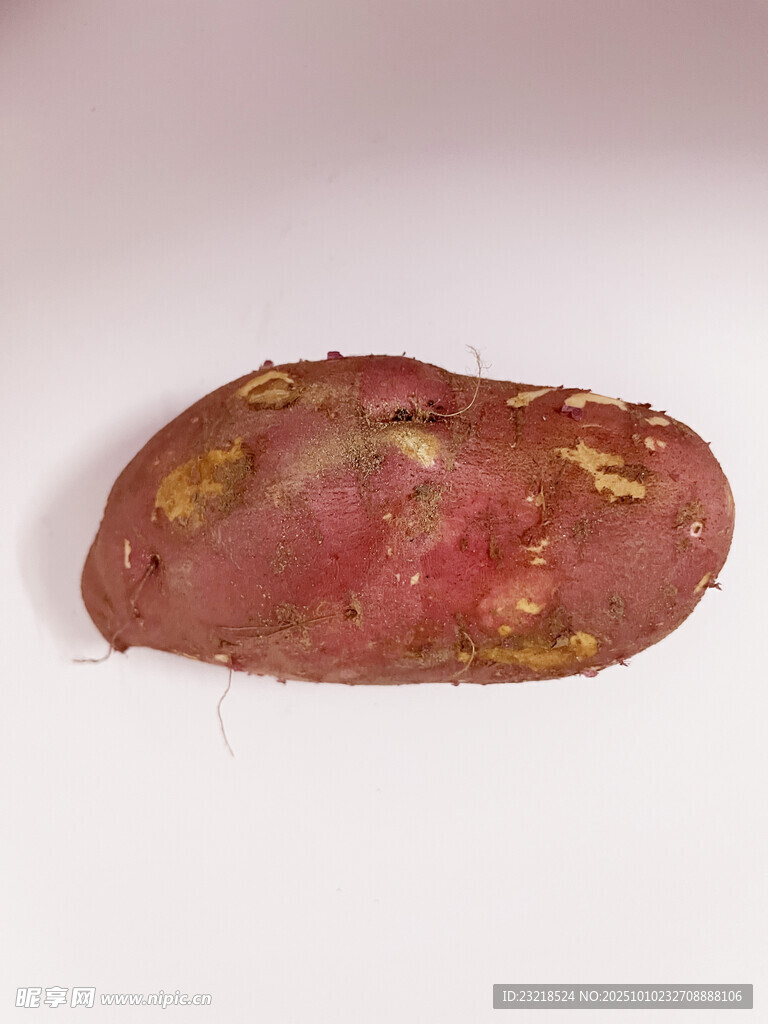 红薯