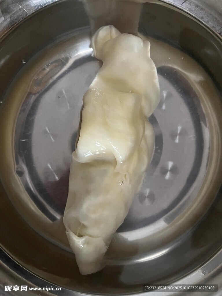 鱼胶
