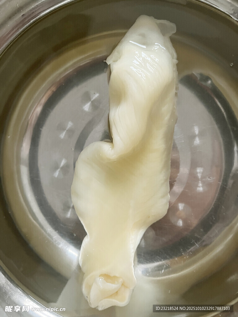 鱼胶泡发