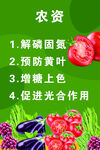 农资 蔬菜水果