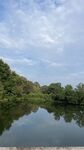 宁静湖畔风光