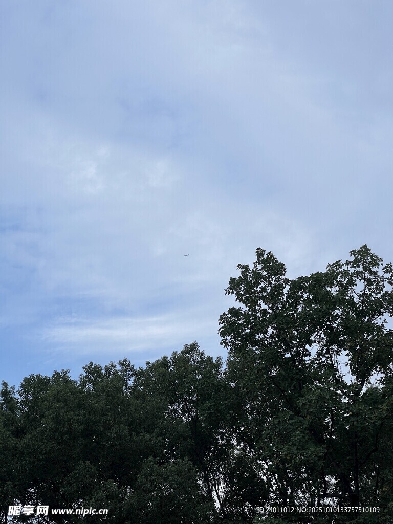 蓝天绿树风景图