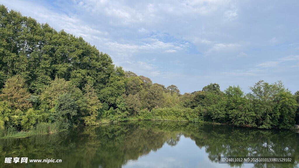 宁静湖畔绿树成荫