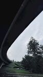 公路桥梁下的自然景致