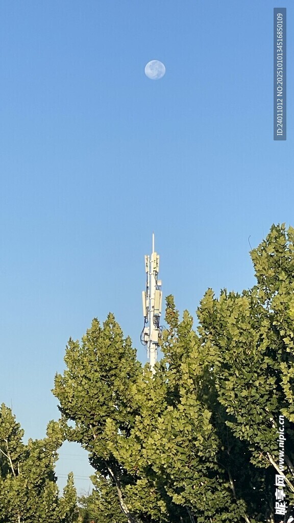 蓝天绿树间的尖顶建筑
